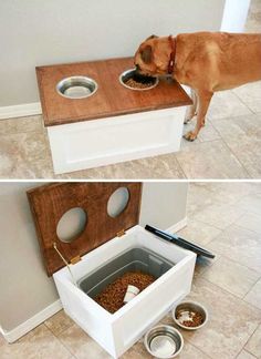 the dog is eating out of his food bowl