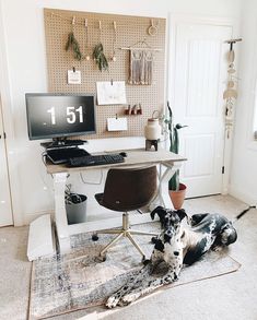 a dog laying on the floor in front of a desk with a computer monitor and keyboard