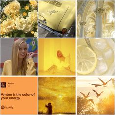 a collage of photos with yellow and white flowers, lemons, birds, and an orange background