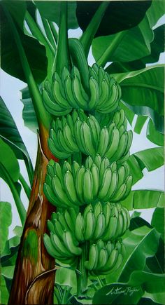 a painting of bananas growing on a tree