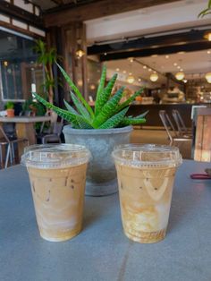 two plastic cups sitting on top of a table next to a potted green plant