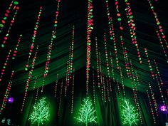 christmas lights are hanging from the ceiling in front of a stage decorated with trees and snowflakes