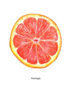 a grapefruit cut in half on a white background