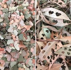 two pictures of leaves with holes in the middle and on the left, there is a nest made out of small hearts