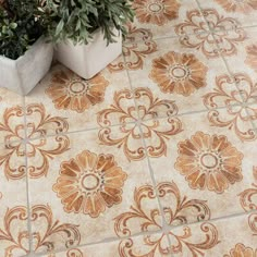 a potted plant sitting on top of a tiled floor next to a potted plant