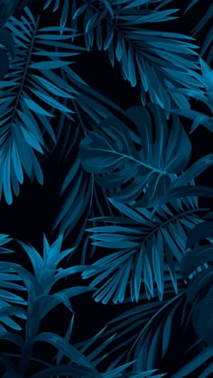 blue palm leaves on a black background