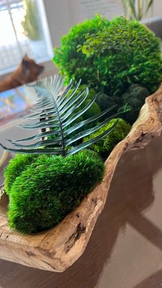 some green plants are sitting on a wooden tray with metal tongs in the center