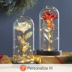 two glass domes with flowers and lights inside