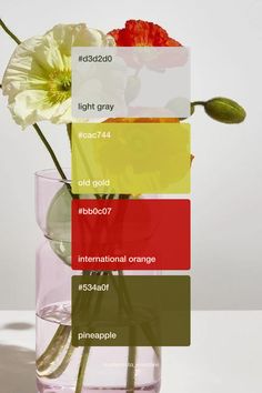 2024 Organic spring flower color palette inspiration | Branding design Flower Color Palette, Color Coding Notes, Flat Color Palette, Landscape Design Drawings, Color Palette Inspiration, Beige Color Palette, Color Design Inspiration, Hex Color Palette