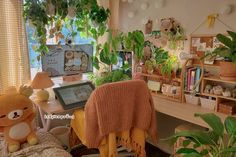 a room with plants and stuffed animals on the desks, along with bookshelves