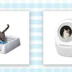 two pictures with one cat and the other is in a litter box that looks like a washing machine