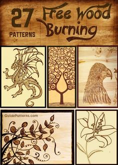 the cover of 27 free wood burning patterns