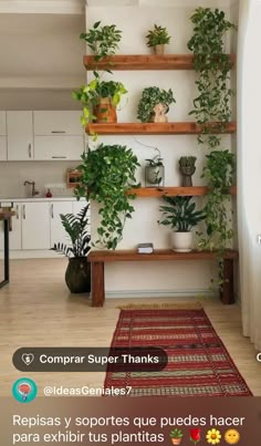 a room filled with lots of potted plants on top of wooden shelving units