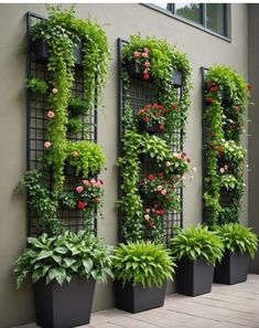 some plants that are growing on the side of a building and in front of a wall