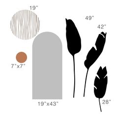 the measurements for two large plants and one small plant in front of it, with an area