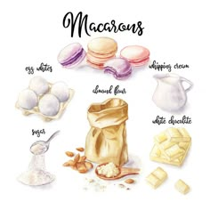 macaroni and cheese is shown in this watercolor drawing, with the ingredients labeled below