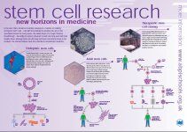 stem cell research poster Poster Examples, Research Poster, Stem Cells, Public Health, Cool Posters, Powerpoint Templates, Disease, Health