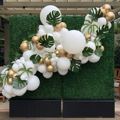 white and gold balloons are hanging from a green wall