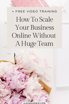 Want to grow your business online but don’t have a large team? Learn how to scale successfully with our expert tips! Our blog post covers essential strategies for leveraging automation, outsourcing, and technology to achieve growth. Find out how to streamline operations and boost your business without a big team. Read now to start scaling smartly! Office Automation, Social Media Automation, Business Automation, Marketing Automation