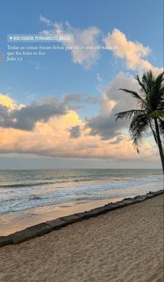 a palm tree sitting on top of a sandy beach next to the ocean under a cloudy blue sky