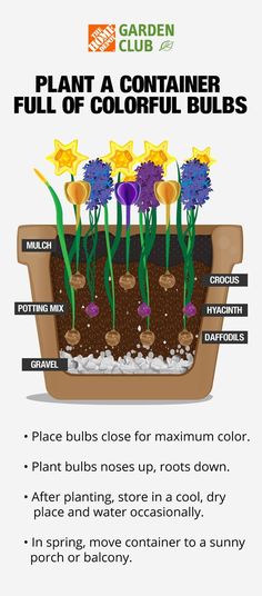 an info sheet describing how to plant a container full of colorful bulbs and other flowers