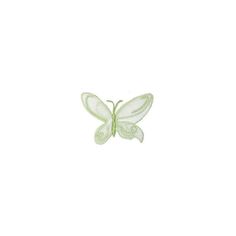 a green and white butterfly on a white background