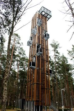 a tall wooden tower sitting in the middle of a forest