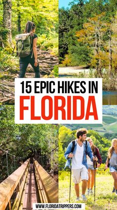 15 Epic Hikes in Florida Florida Hiking, Florida Hikes, Hiking In Florida, Solo Road Trip, Florida Road Trip, Florida National Parks, Best Beach In Florida, Dry Tortugas National Park, Florida Adventures