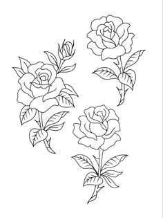 Rose tatuaggio lineart Apprentice Portfolio, American Traditional Rose, Traditional Tattoo Outline, Alligator Tattoo, Traditional Tattoo Stencils, Rose Tattoo Stencil, Simple Rose Tattoo