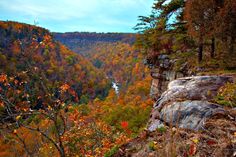 a scenic view of trees, rocks and water from the top of a mountain in autumn