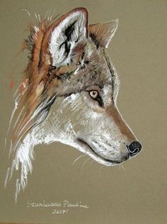 a drawing of a wolf's head is shown