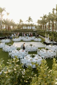 A tropical modern wedding at the Hyatt Coconut Point in Naples, Florida. Florida Wedding Venues Beach, Tropical Wedding Venue, Modern Tropical Wedding, Florida Wedding Reception, Tropical Wedding Reception, Destination Wedding Reception, Destination Wedding Decor, Wedding Reception Design