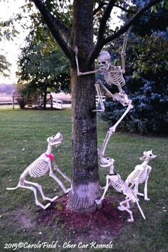 three skeletons are in the grass near a tree and some trees with their heads turned to look like they're dancing