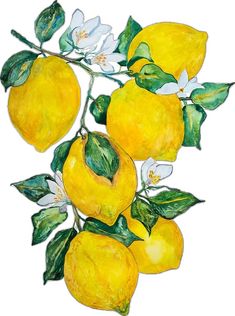 a painting of lemons and flowers on a branch