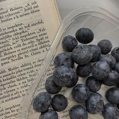 some blueberries are in a plastic container next to an open book