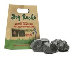 two black rocks sitting next to a brown bag with the words dog rocks on it