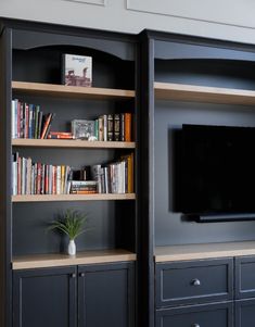 an entertainment center with bookshelves, television and plant in vase on the bottom shelf