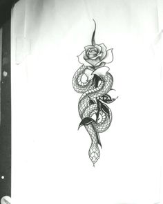 a drawing of a snake with a rose on it