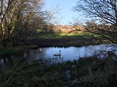 Walking In Nature