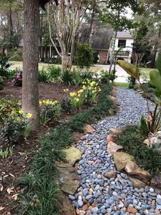 a garden with lots of rocks and plants in it's side yard, next to a tree