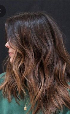 Chocolate Mid Length Hair, Minimal Hair Highlights, Dynamic Brunette Hair Color, Warm Brown Lowlights, Minimal Highlights Hair Brunettes, Balayage For Indian Skin Tone, Hair Colour For Indian Skin, Subtle Brown Balayage, Indian Hair Highlights