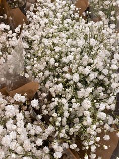 a bunch of white flowers sitting on top of brown bags