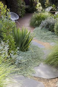 a garden with lots of green plants and grass