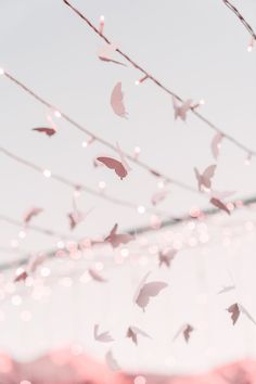 there are many small birds flying in the sky above some string lights that have been strung from them