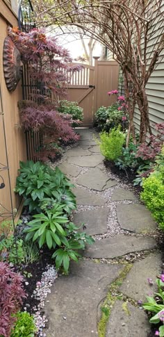 a stone path in the middle of a garden