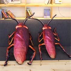 two red bugs sitting on top of a couch next to bookshelves and a book case