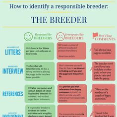 an info sheet with instructions on how to use the breeder