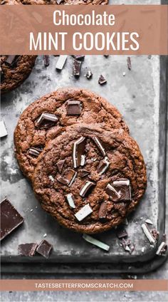 Classic Christmas Chocolate Mint Cookies with Andes mints, perfect for holiday gifts. Mint Cookies Recipe, Andes Mint Chocolate, Andes Mints, Mint Chocolate Chip Cookies, Chocolate Mint Cookies