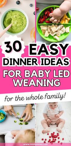 the top ten easy dinner ideas for baby led weaning