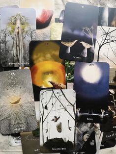 many cards with pictures of birds and trees